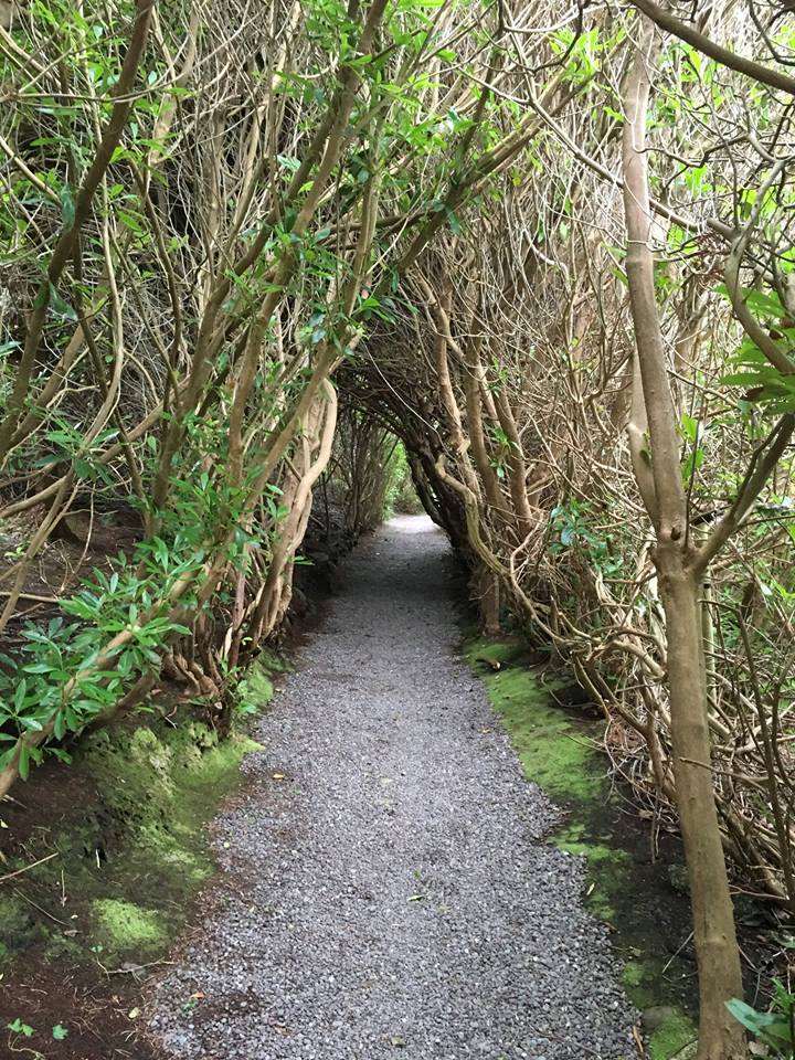 Carrig & Restaurant Killorglin